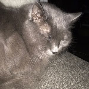 Meet your Posher, Kellie